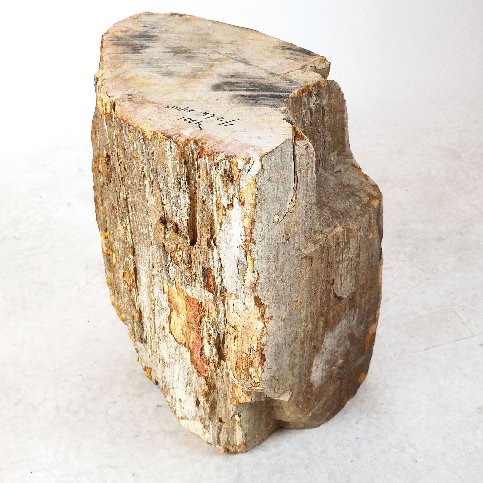 Petrified Wood Modern Side Table / Stool (1 of 10)
