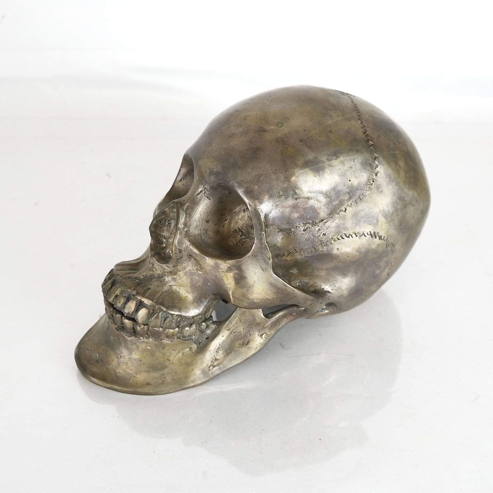 Brass Model of a Skull: Brass model of a skull. [6" H x 10" W x 5" D].