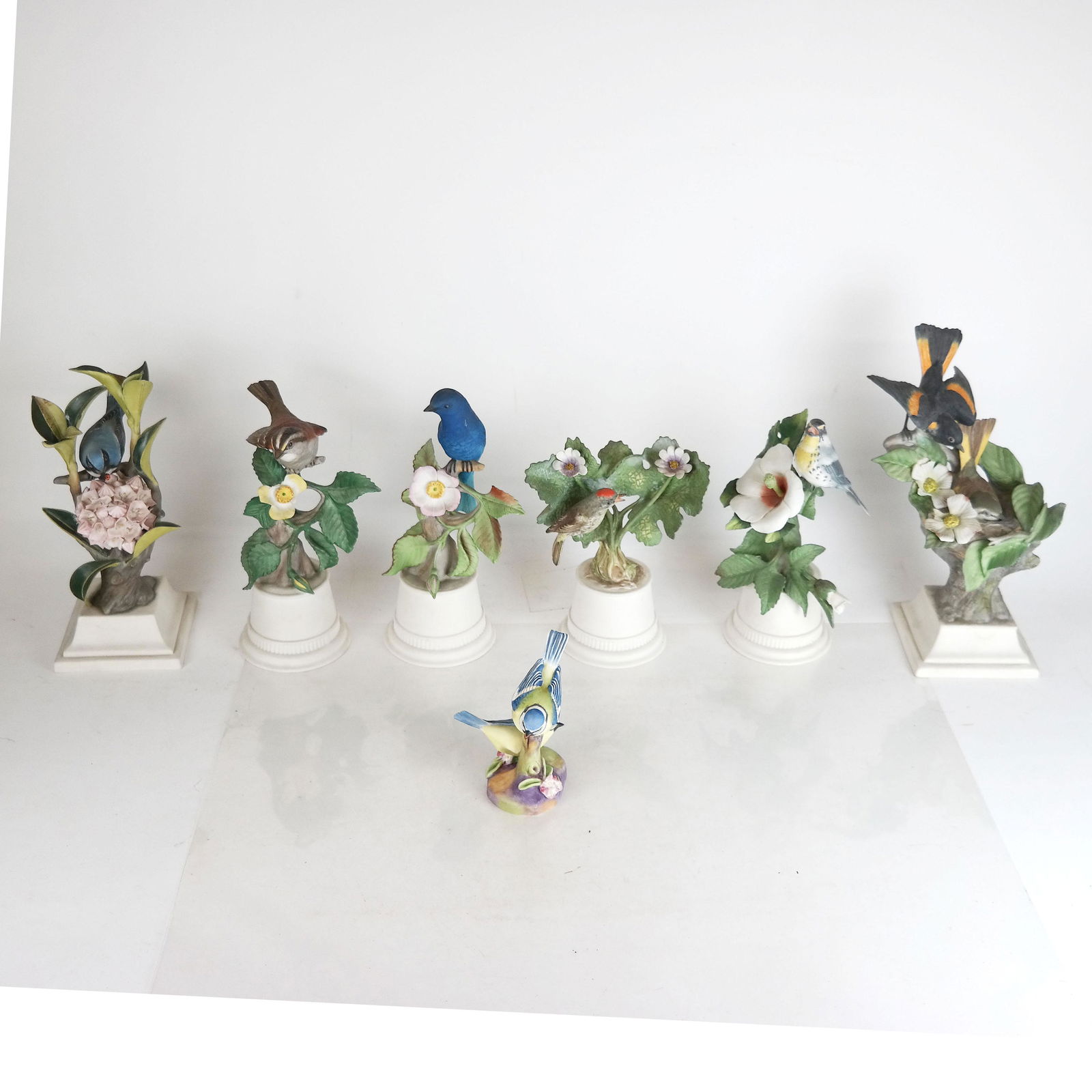 6 Boehm Birds and 1 Royal Worcester (1 of 9)