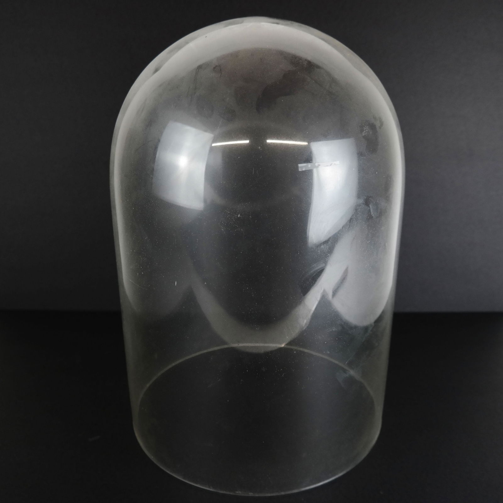 Large Bell Jar Dome (1 of 5)