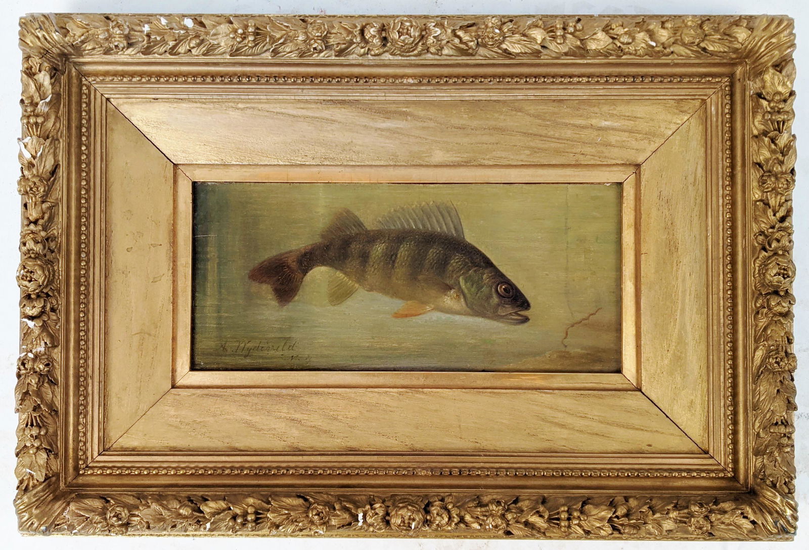 Arnold WYDEVELD: Fish - Oil Painting (1 of 9)
