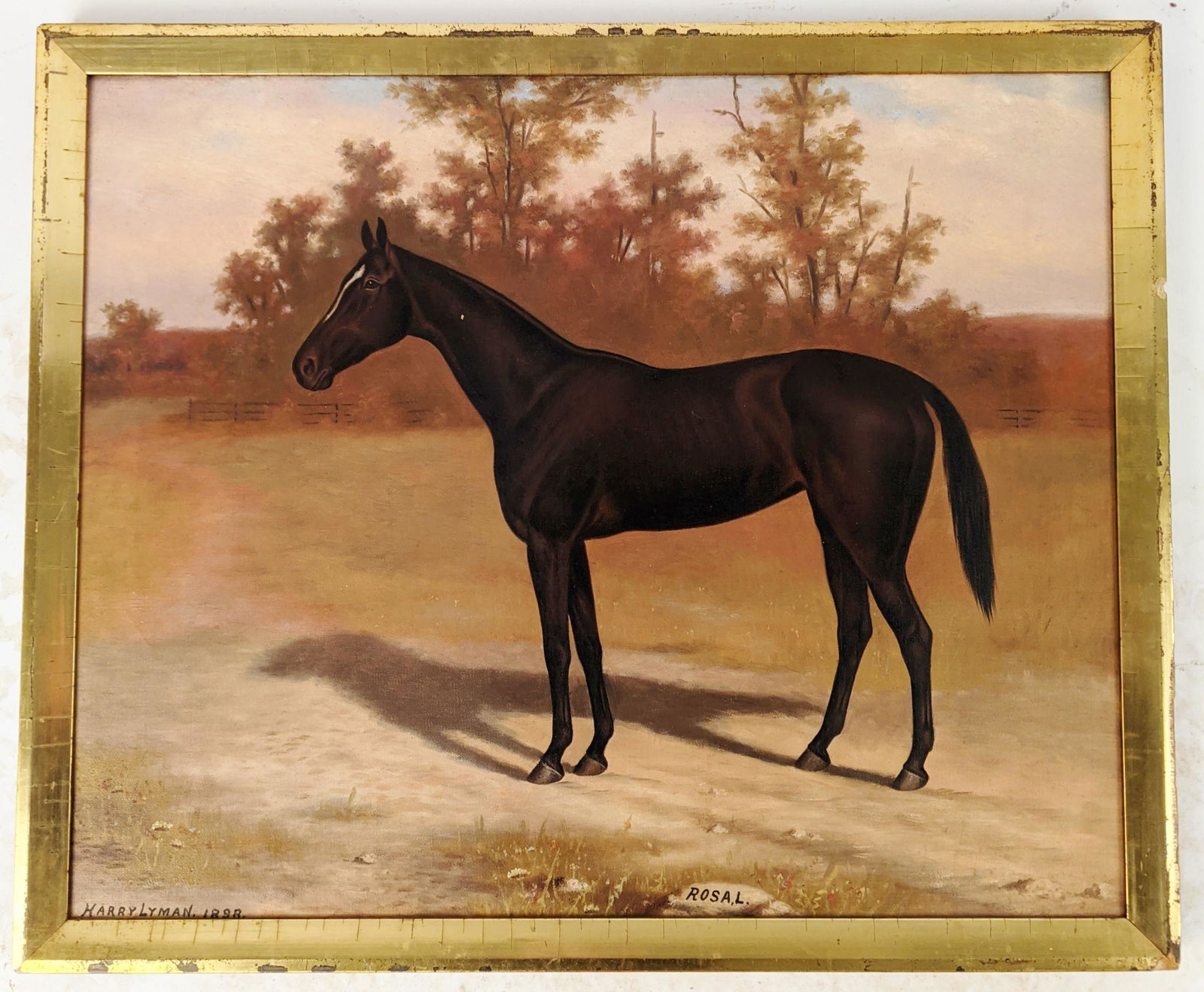 Harry LYMAN: "Rosa L" - Oil Painting (1 of 13)