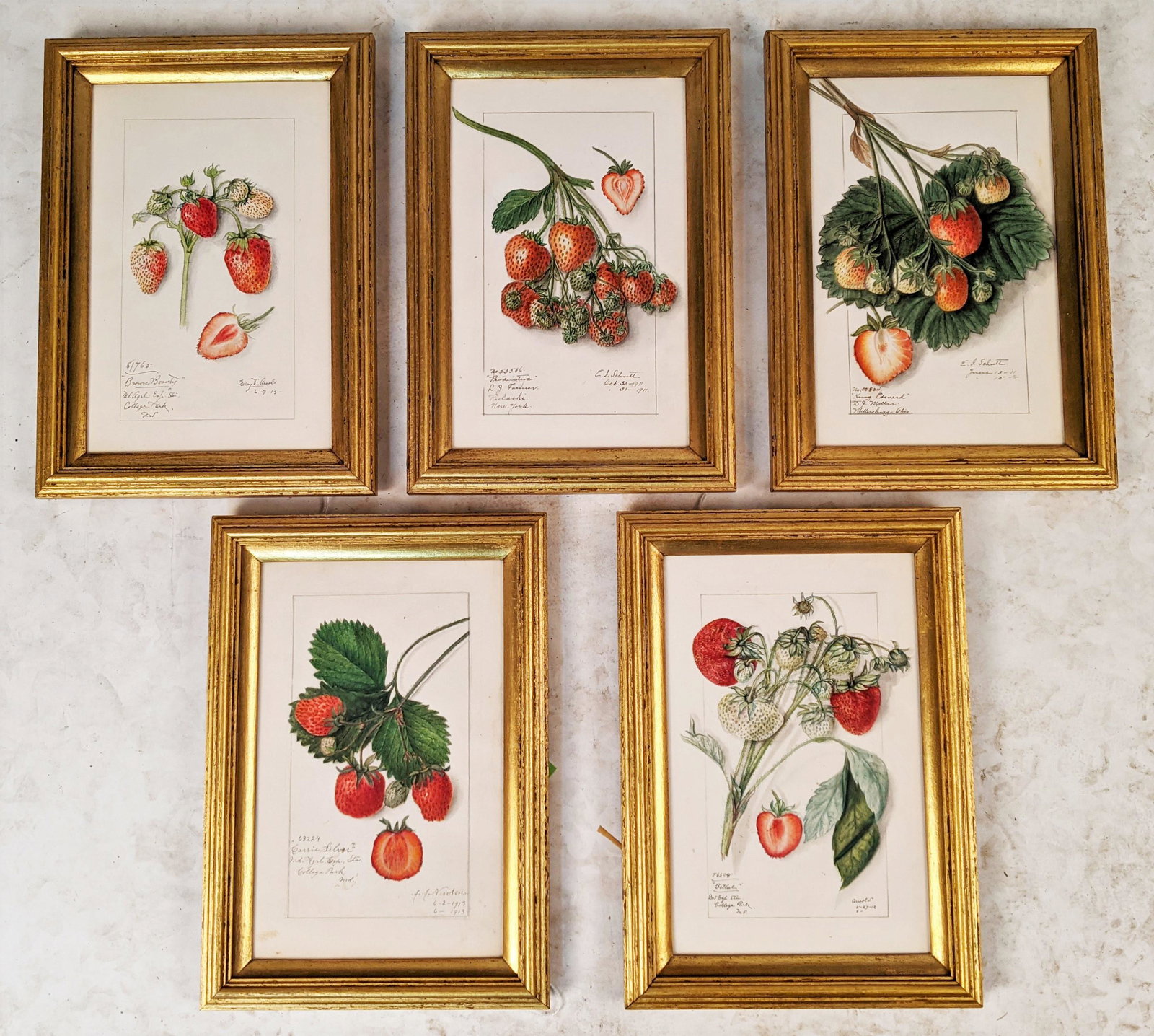 Set of 5 Strawberry Watercolor Paintings (1 of 9)