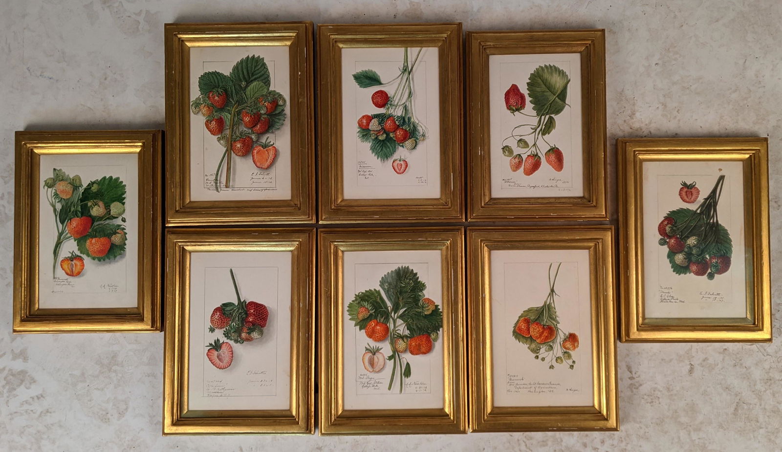 Lot of 8 Gilt Framed Watercolors of Strawberries (1 of 10)