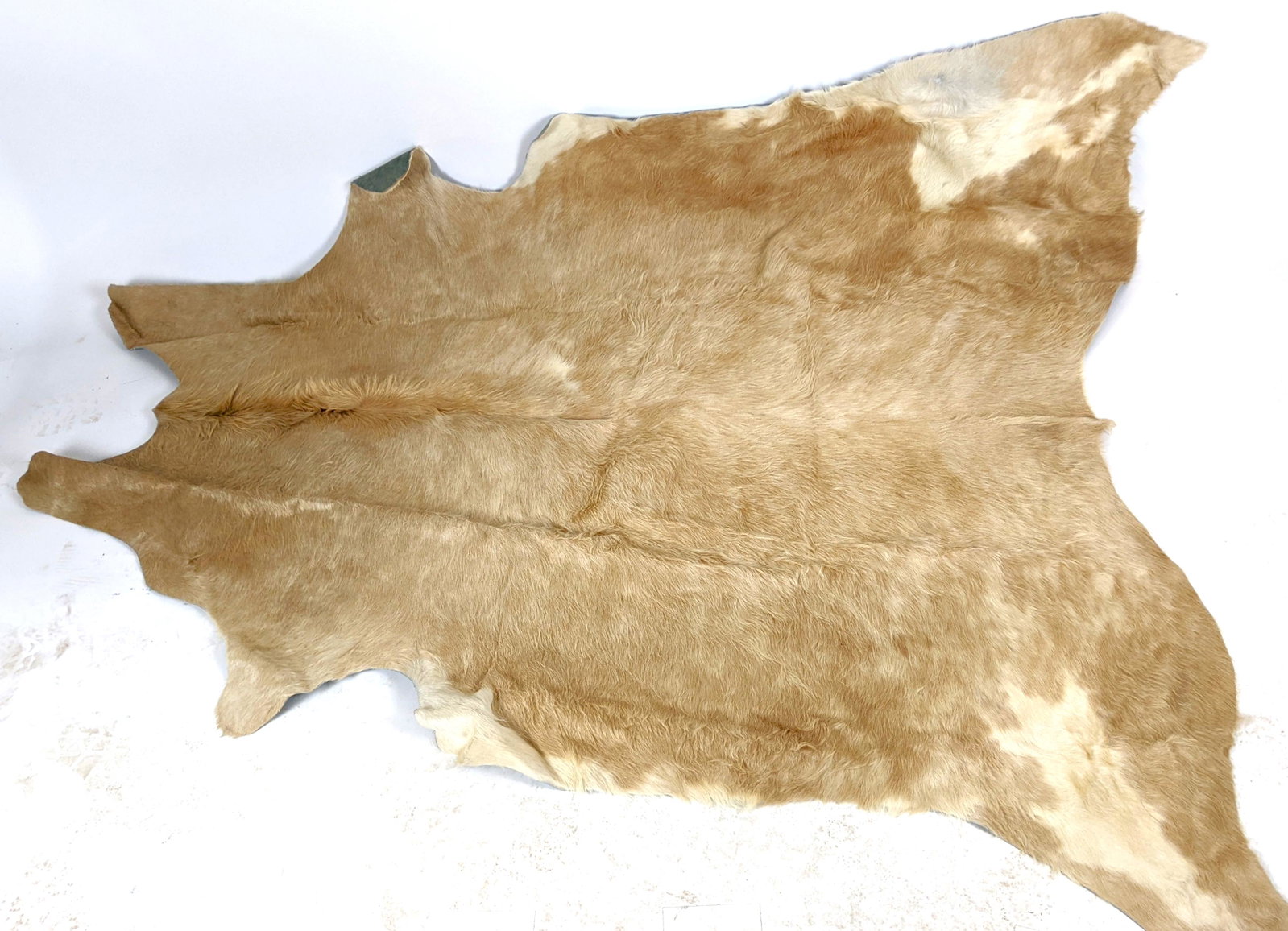 Brazilian Fur Animal Hide Skin: Brazilian fur animal hide / skin. Marked "Made in Brazil". [77" x 55"]. In good condition.