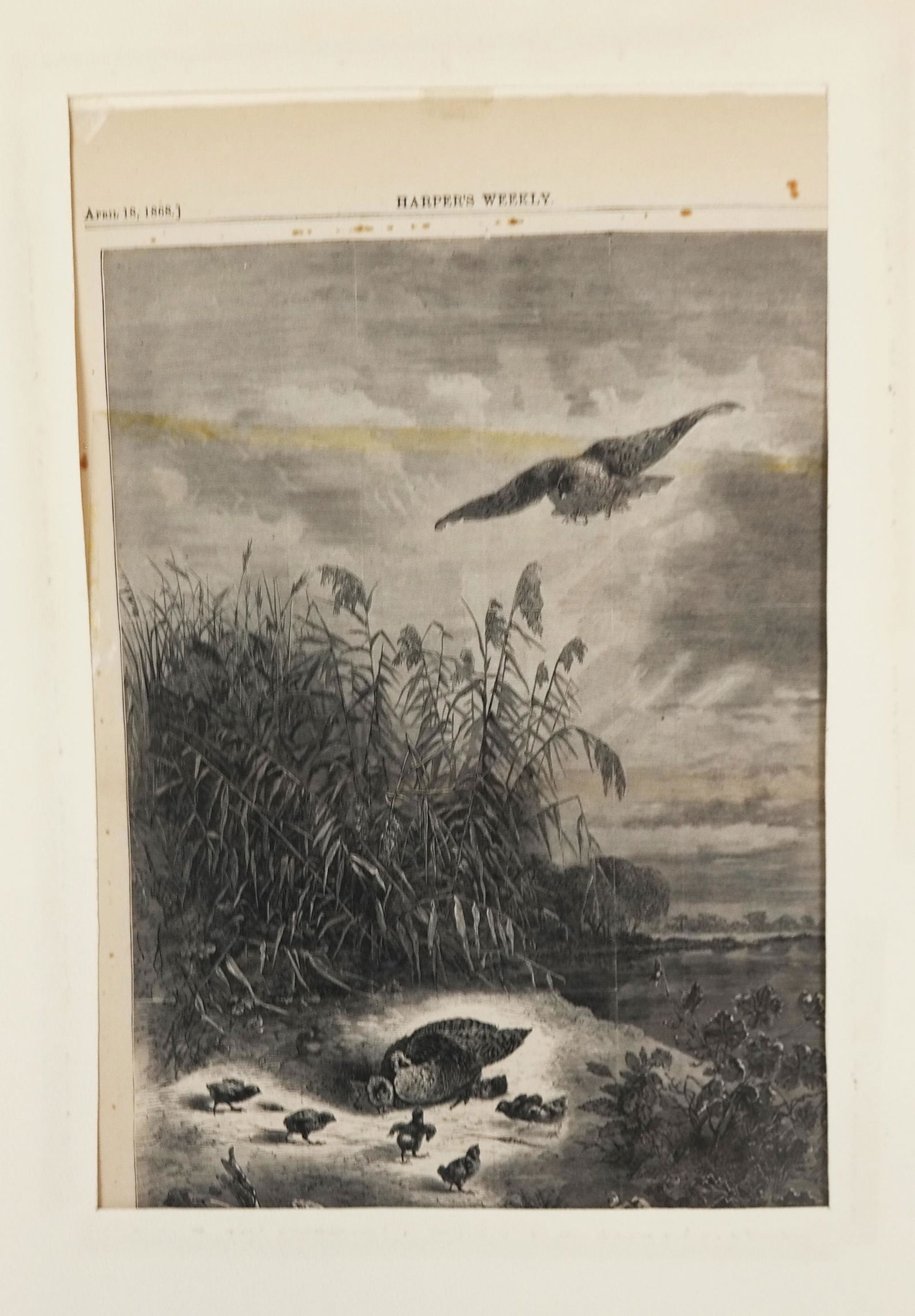 Eleven (11) Harper's Weekly Prints (1 of 8)