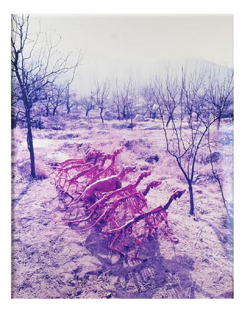Zhang Huan: Chinese C-Print (1 of 6)