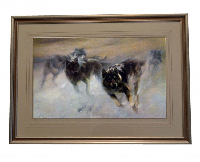 Manfred Schatz: Manfred Schatz Measurements: