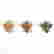 item-127415175=2