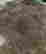 item-127672399=9