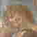 item-127672491=2