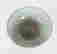 item-127672526=4
