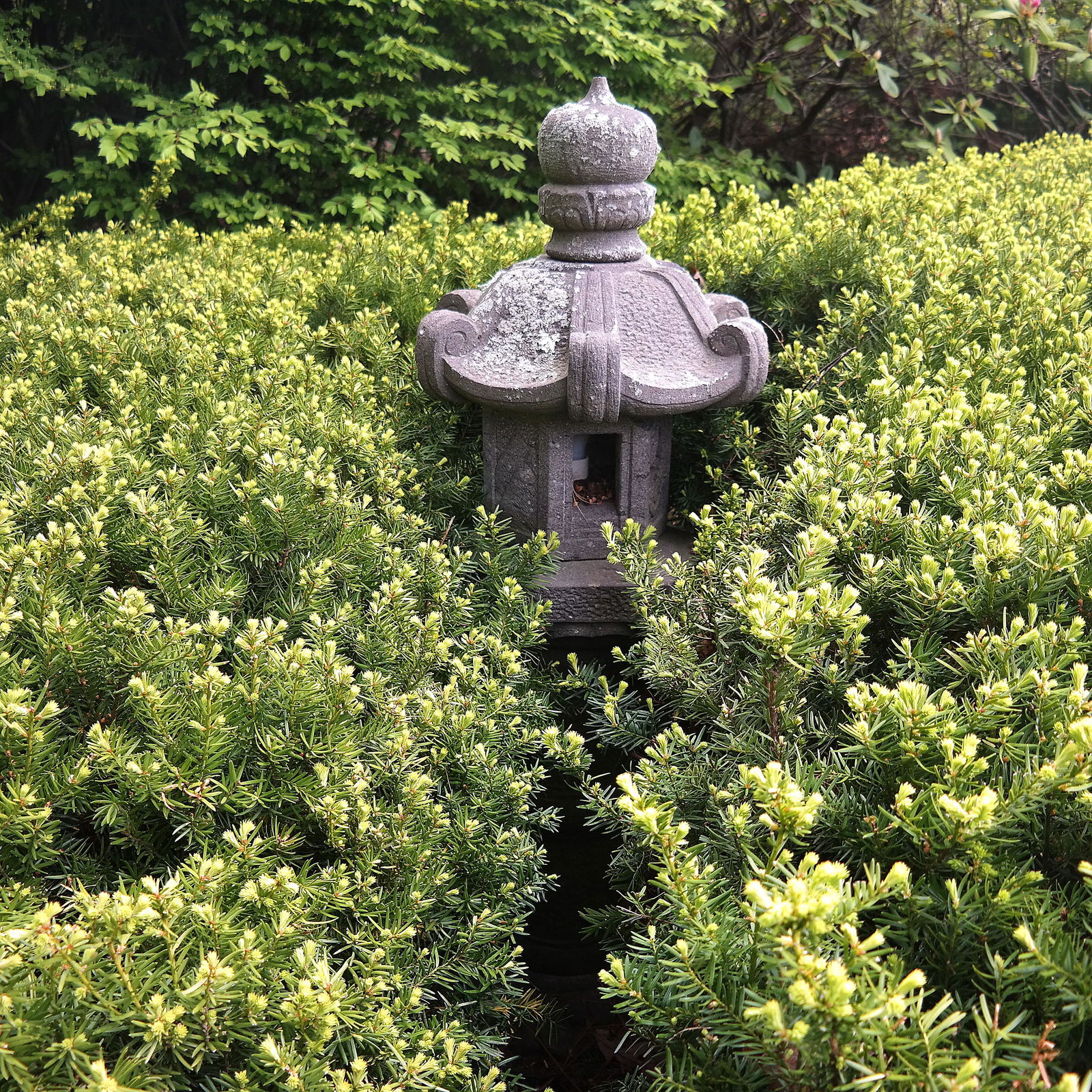 Dark Concrete Garden Light Post (1 of 8)