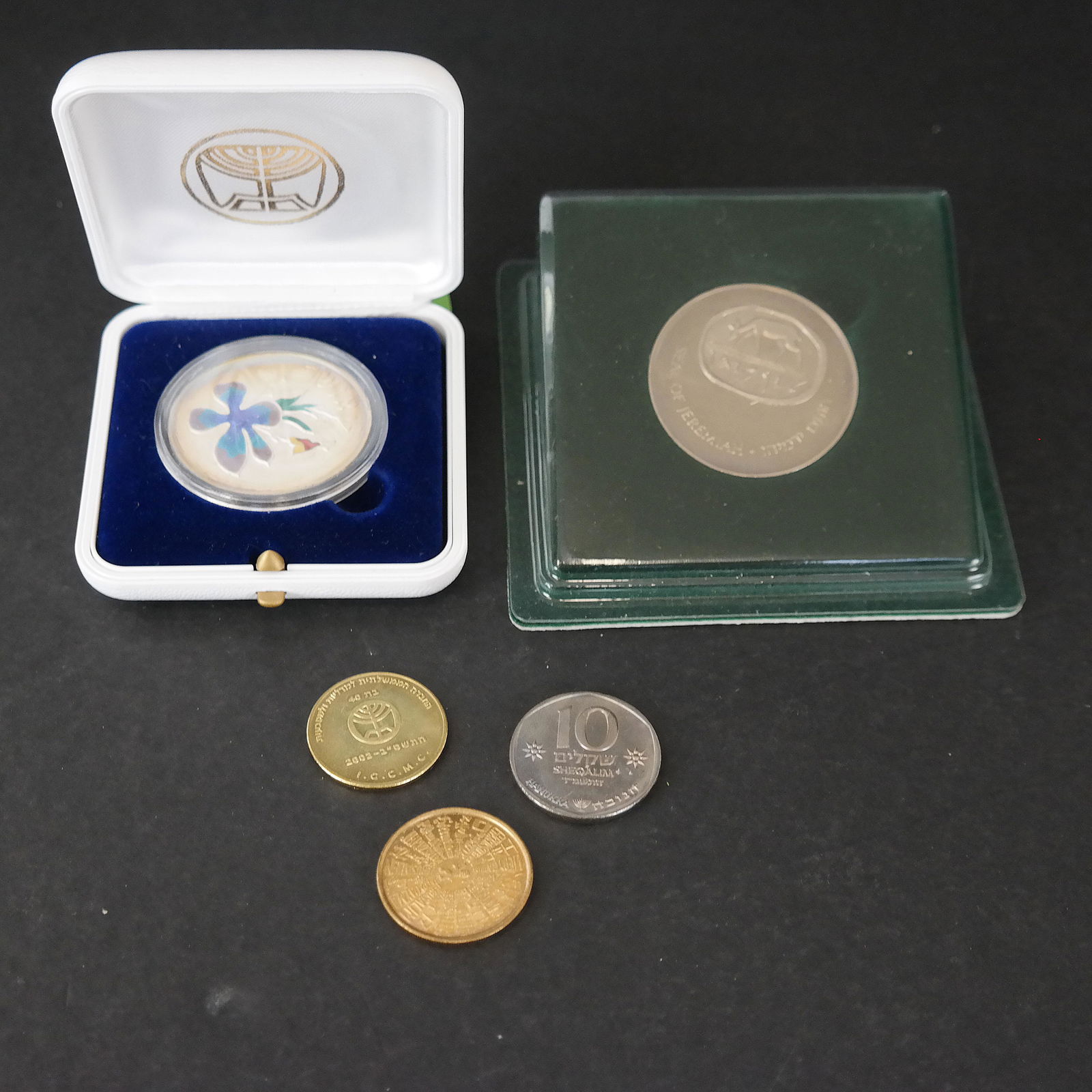 Chaim Gross "Happy Children" Medal, Others (1 of 11)