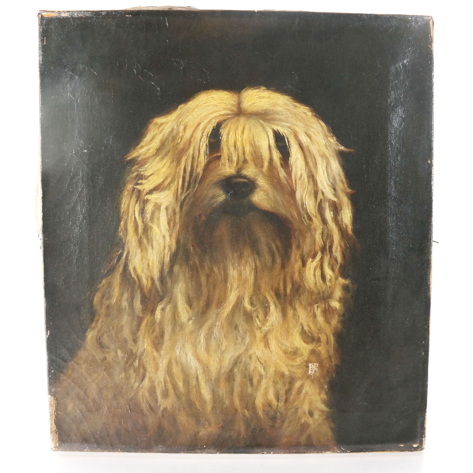 Unsigned Oil on Canvas - Portrait of a Dog (1 of 12)