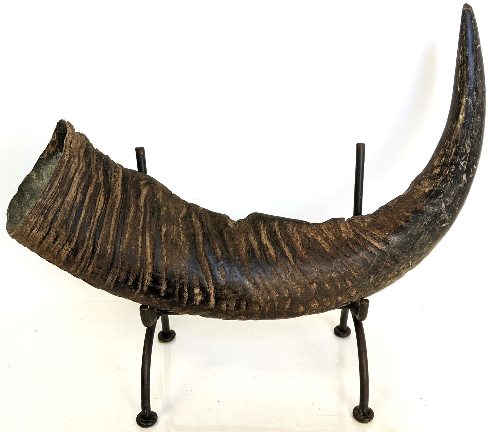 Animal Horn on Iron Stand (1 of 14)