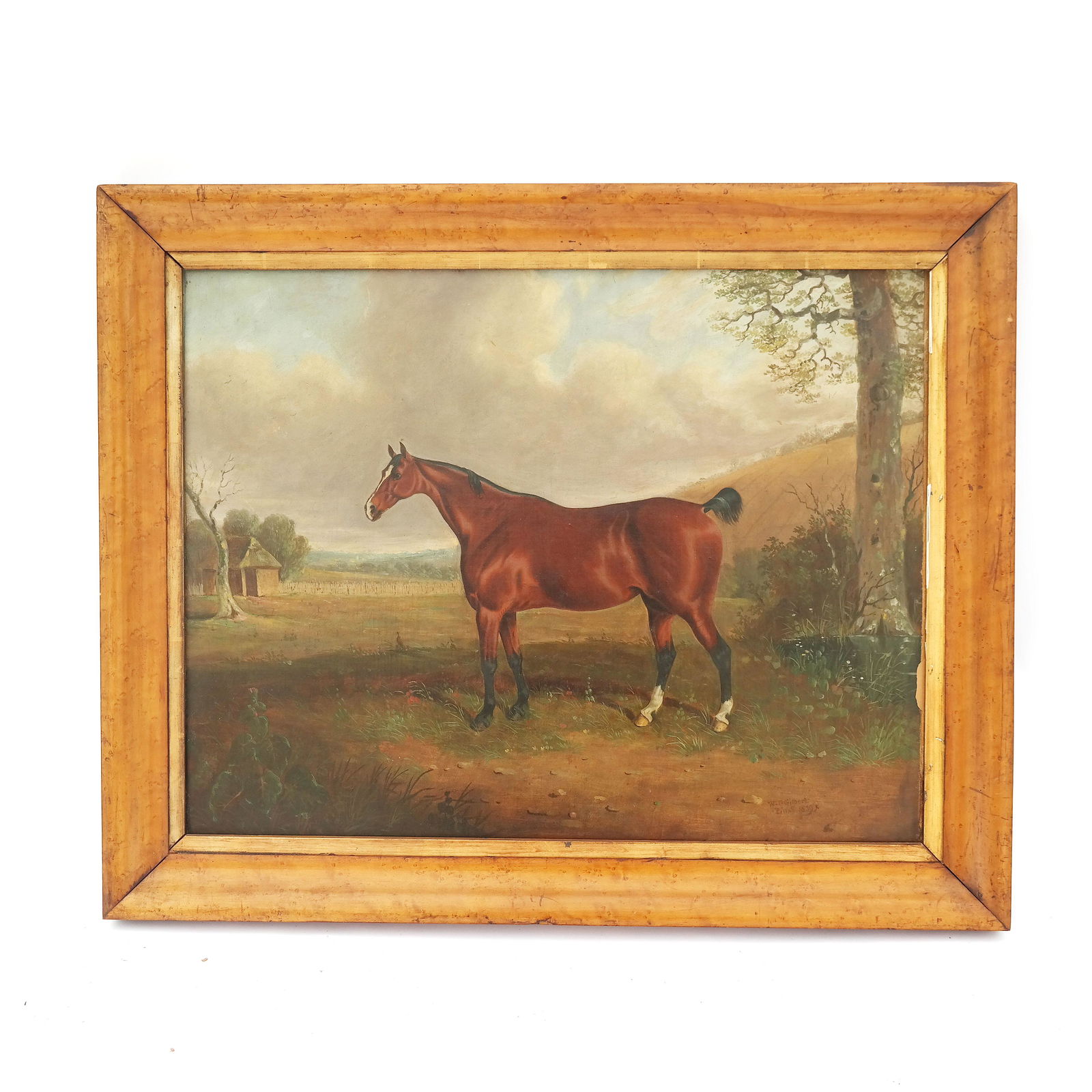 W. J. GILBERT: Horse Portrait - Oil Painting (1 of 16)