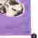 item-131518799=4