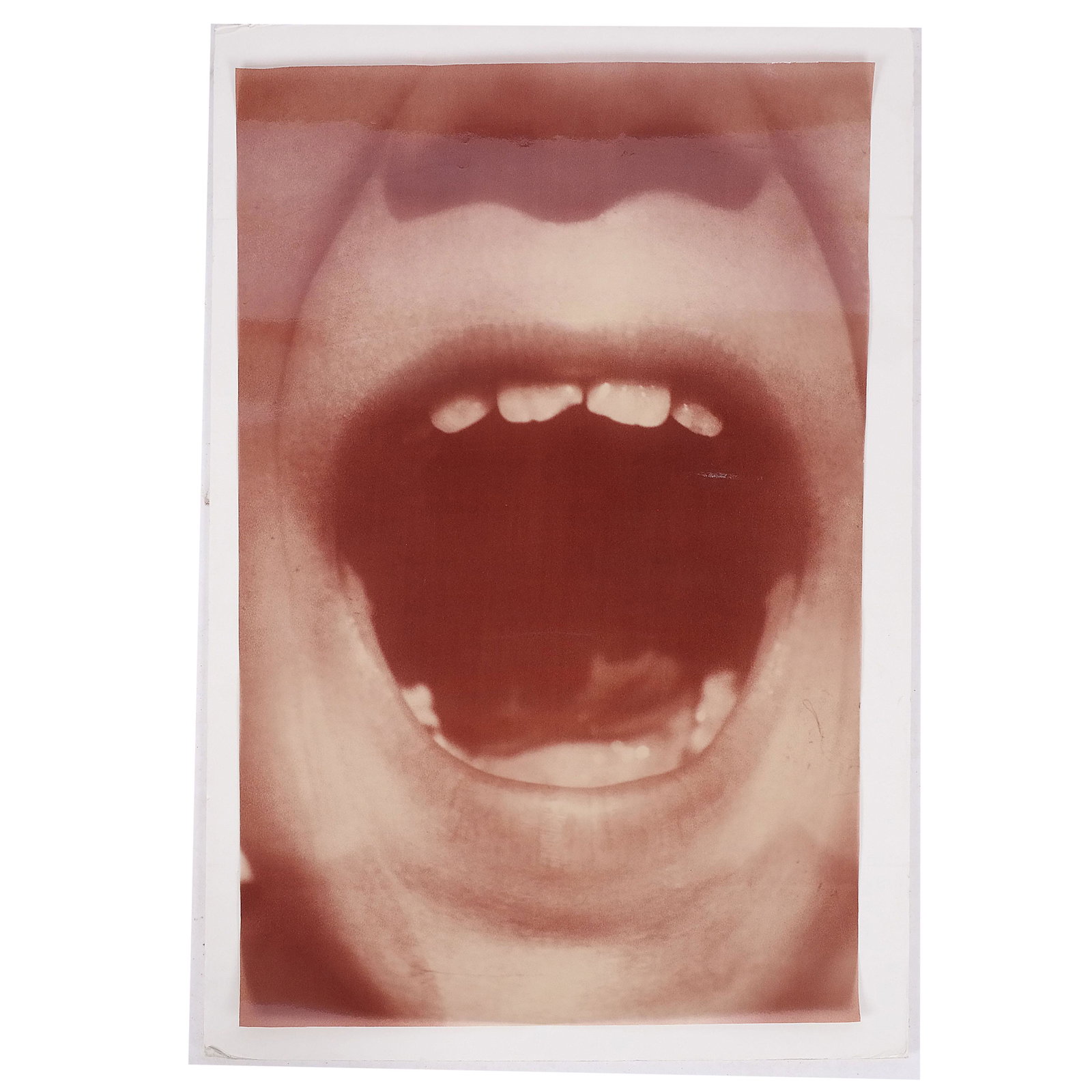 Attrib. Graciela SACCO: Open Mouth - Print: Attributed to Graciela Sacco, photomechanical image titled "Open Mouth" silver gelatin print on transparent mylar, unsigned, unframed. [Sheet: 27 3/4" H x 18" W]. In good condition.