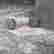 item-131518867=3