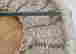item-131518890=12