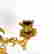 item-131518934=12