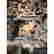 item-131518936=14