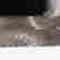 item-131518997=6