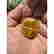 item-131519054=18