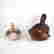 item-131519084=4