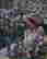 item-131519130=3