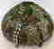 item-131519134=15