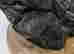 item-131519145=12
