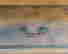 item-131695177=8