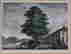 item-131695194=4