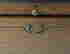 item-131695204=6