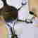 item-131771434=11