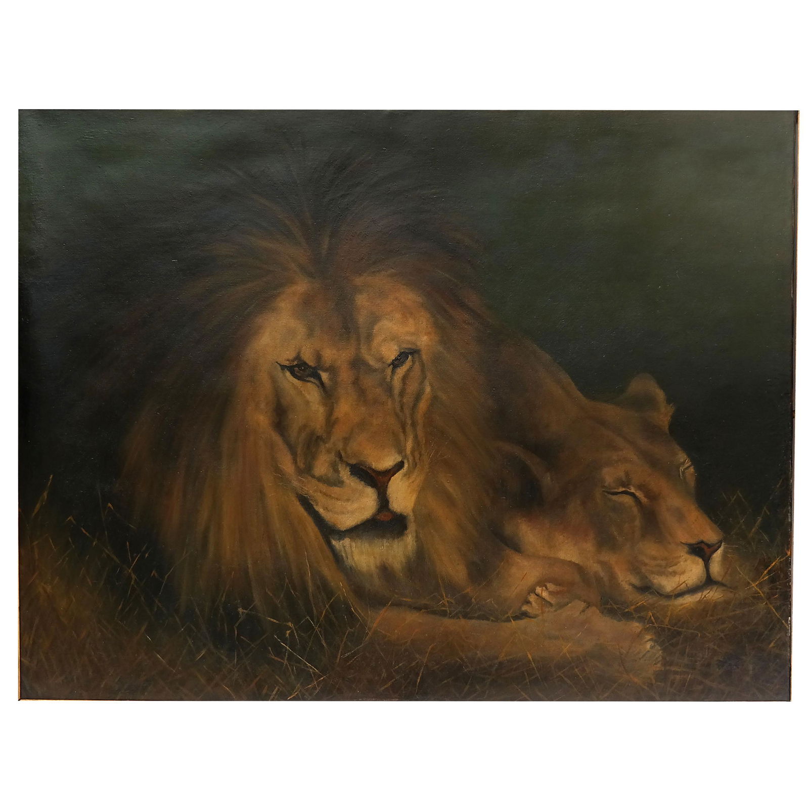 Lion & Lioness: Large Oil on Canvas (1 of 9)
