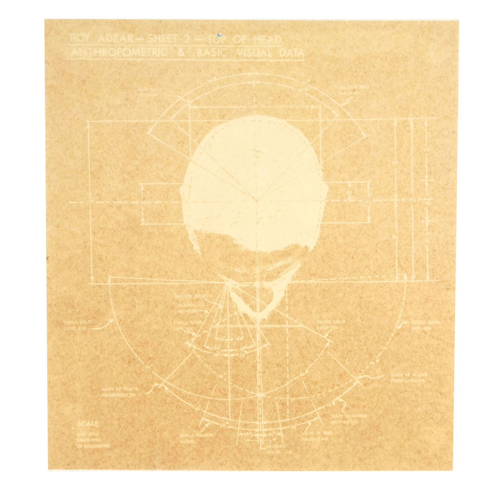 Roy ADZAK: Anthropometric Head - Print (1 of 9)