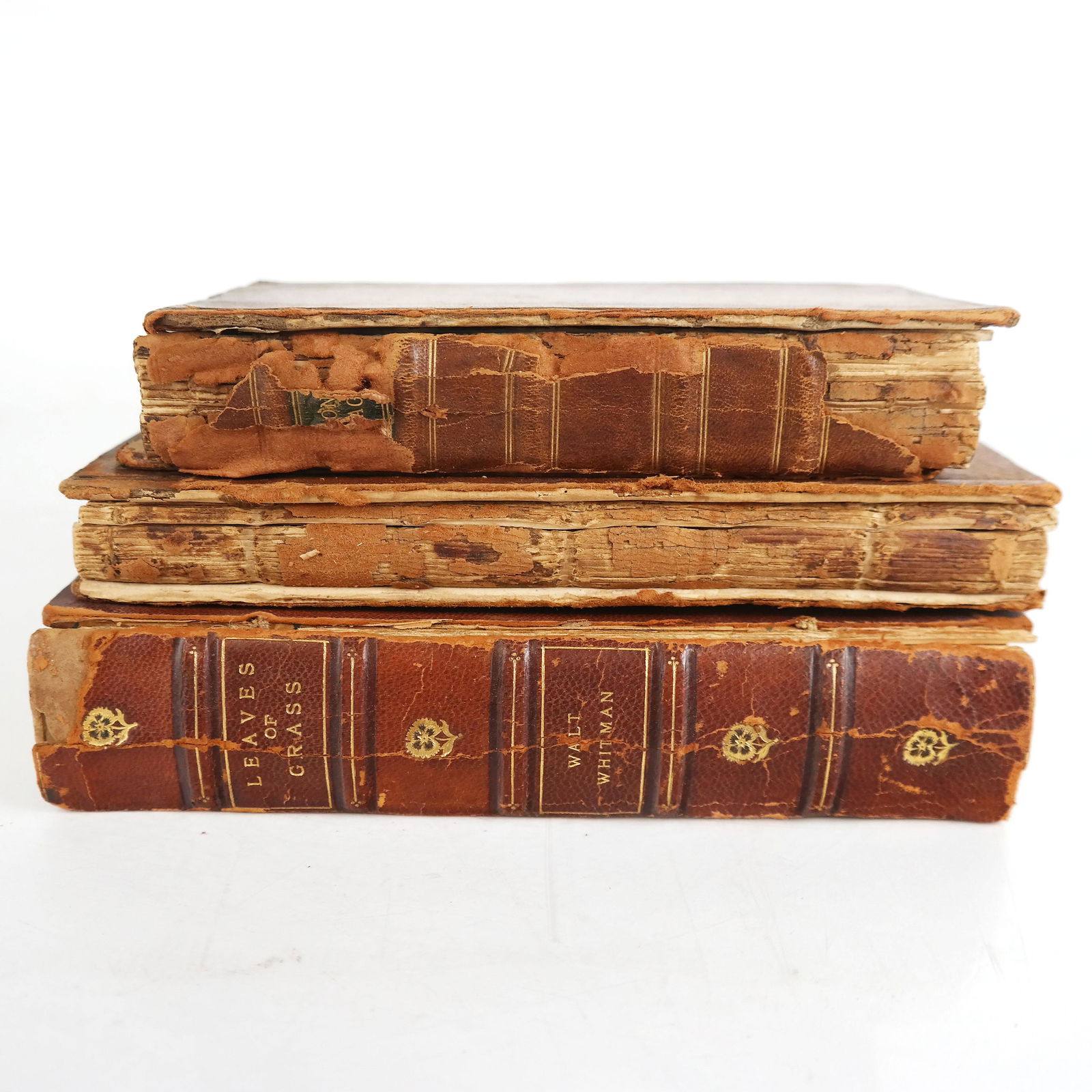 Three Leather Bound Books (1 of 9)