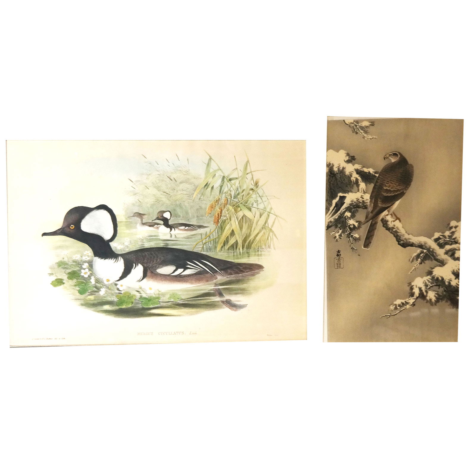 Two Prints: An Eagle & Ducks (1 of 14)