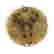 item-136428572=6