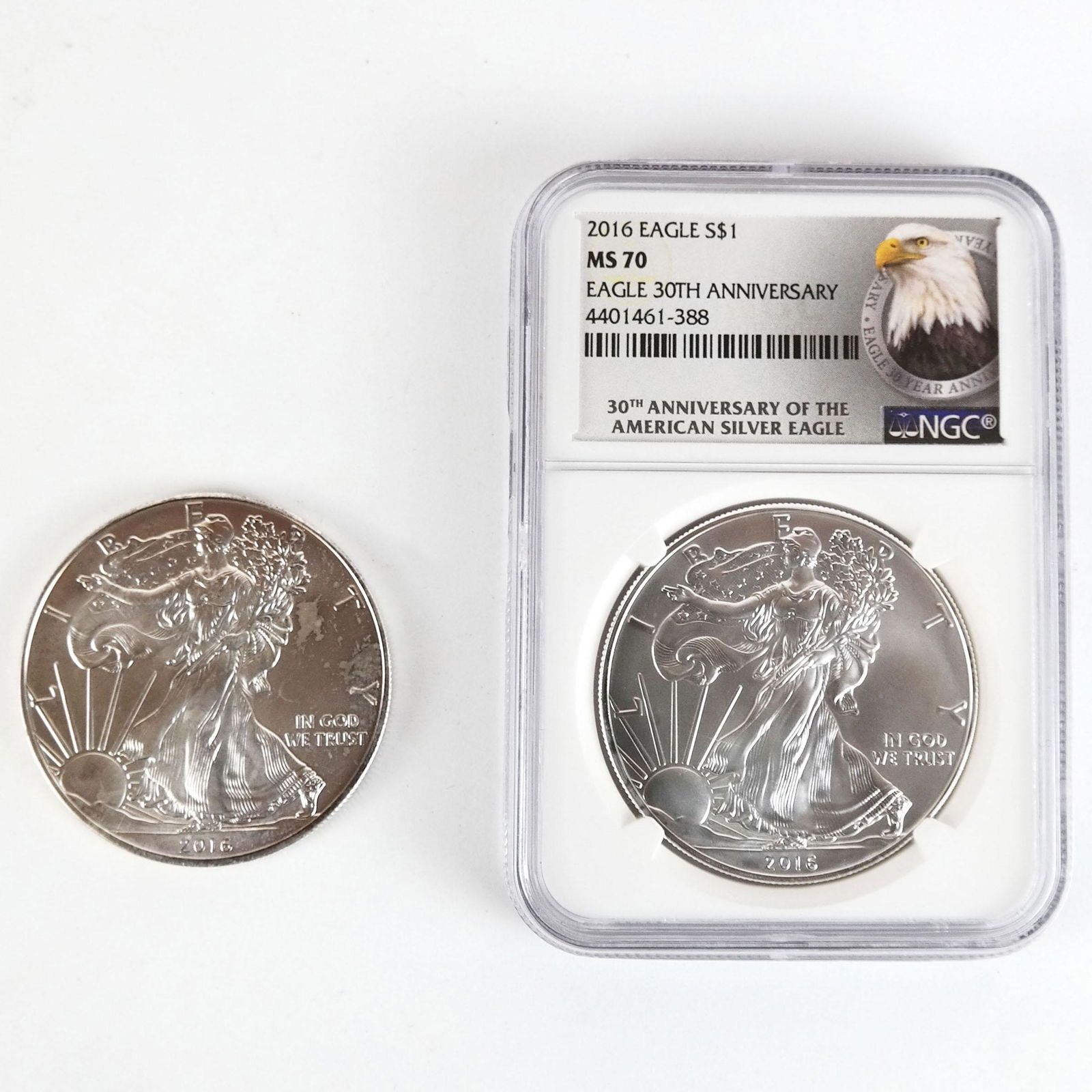 2016 American Silver Eagle Coins (1 of 8)