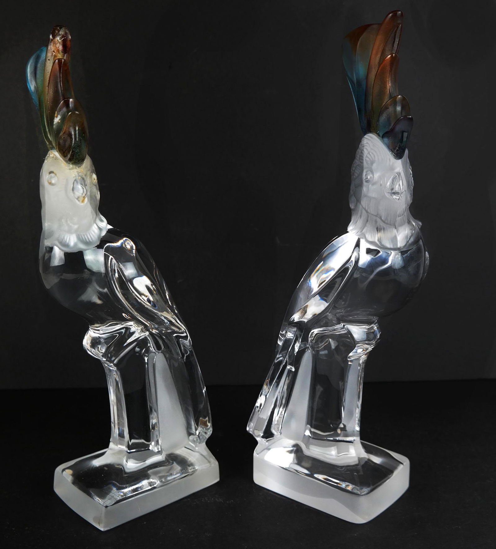 Pair of Daum French Glass Models of Cockatiels: Pair of Daum French glass models of cockatiels, signed to bases. [13 3/4" H x 6 1/2" W x 4" D]. Adhesive and repair to one head, some scuffs and wear.