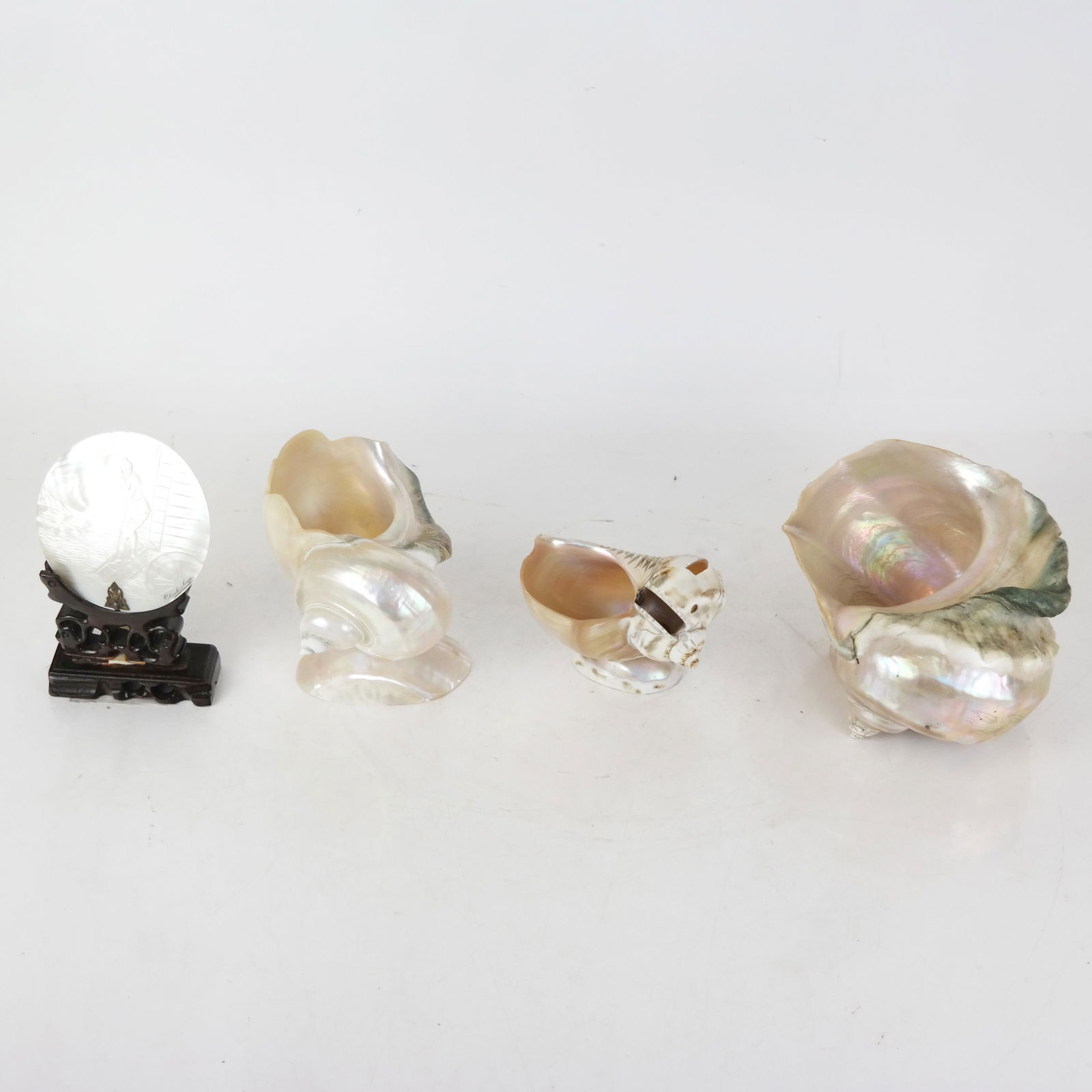 Assembled Group of Four Shell Items (1 of 11)