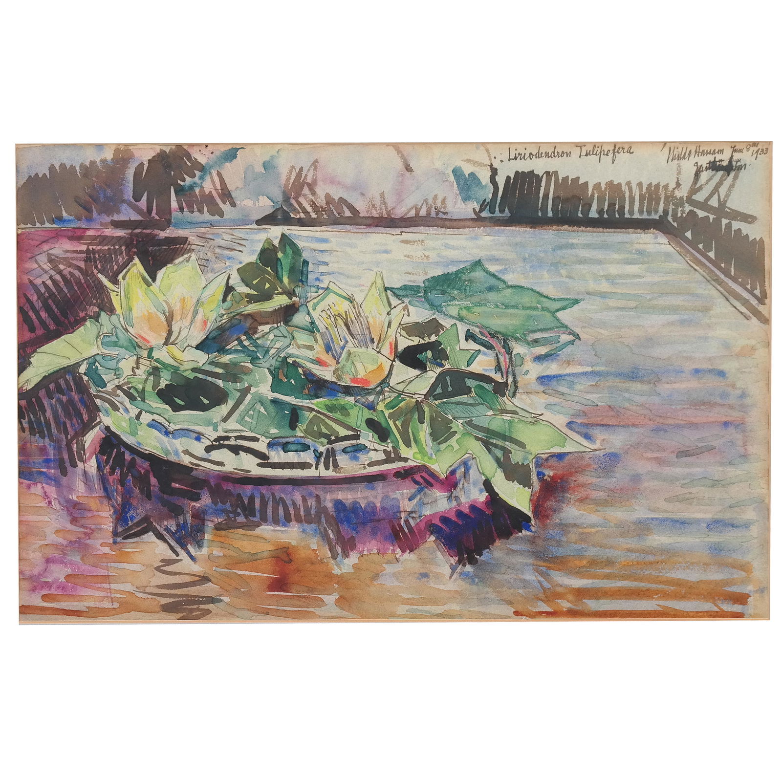 Childe HASSAM: "Blossoms" - Watercolor (1 of 12)