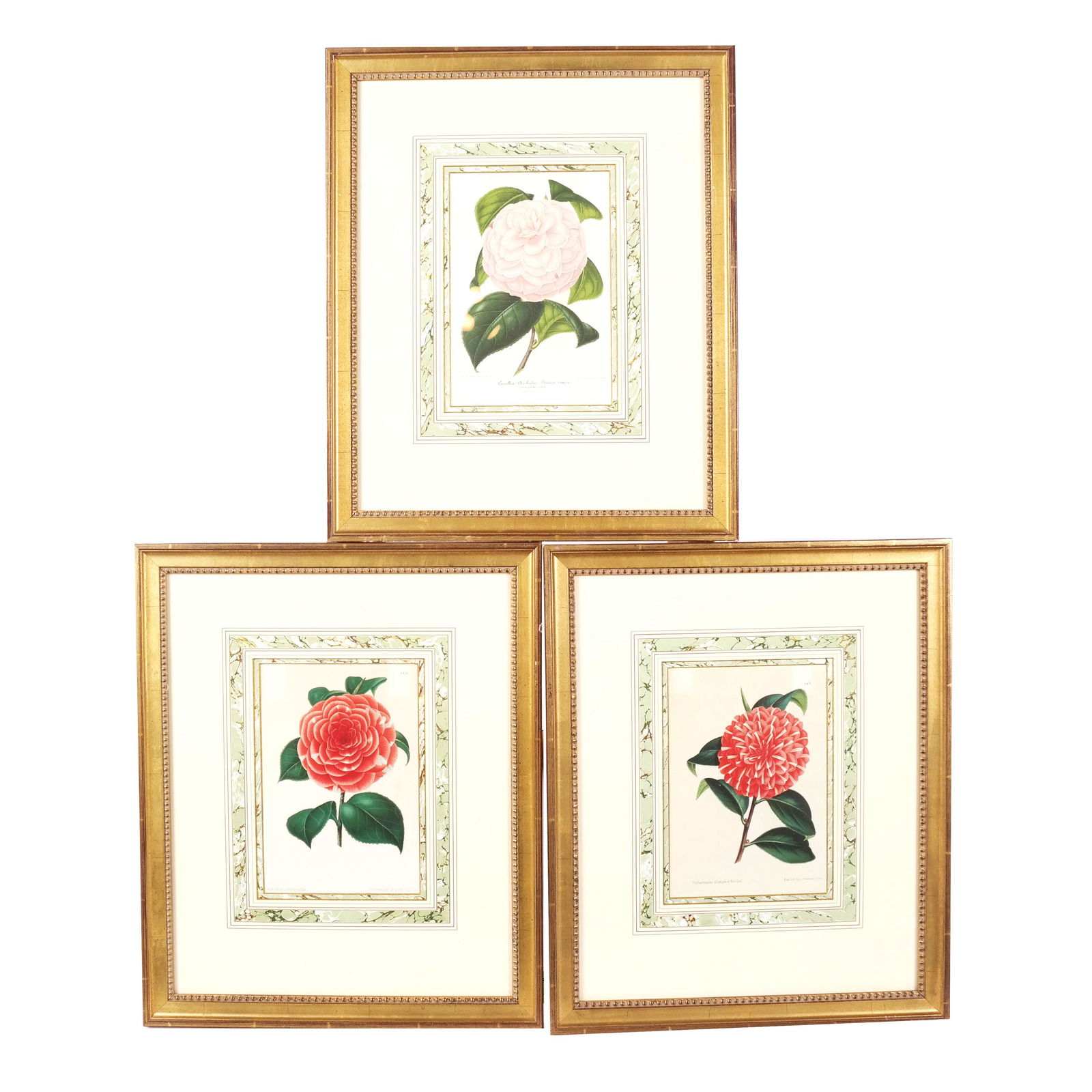 Charles LEMAIRE: Group of Three Botanical Prints (1 of 19)