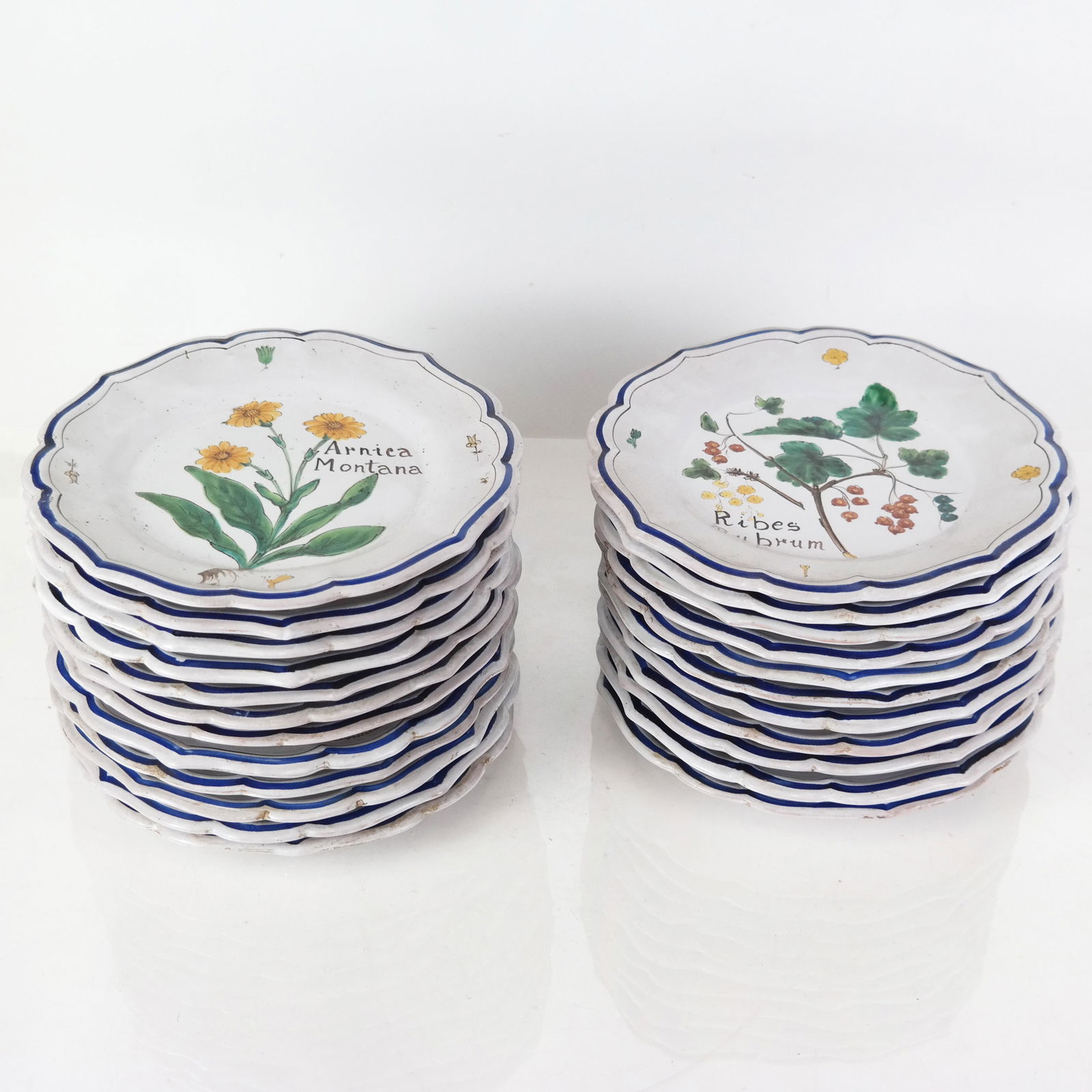 22 Italian Glazed Ceramic Botanical Plates (1 of 9)