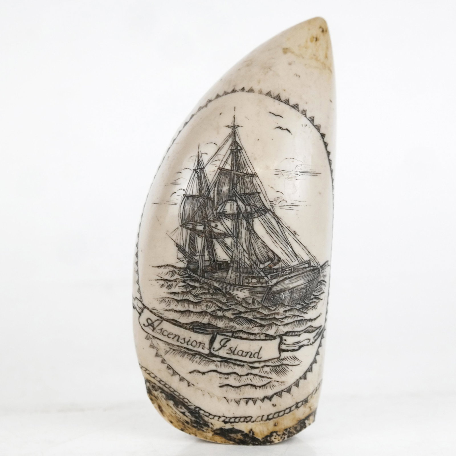 Reproduction Composition Scrimshaw-Style Sculpture: Reproduction composition scrimshaw-style sculpture, of maritime/nautical interest, modeled as a whale tooth with carved scenes of a canon and a sailboat with ribbon; inscribed "Ascension Island" with 