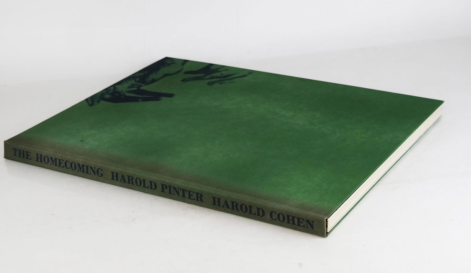 One Volume: "The Homecoming" by Pinter & Cohen (1 of 6)